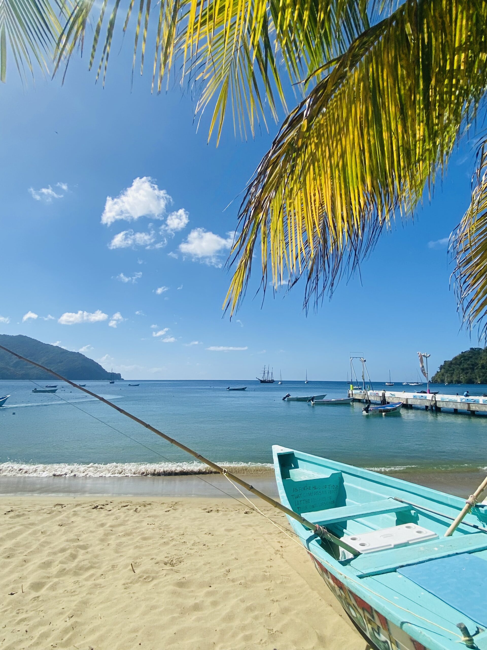 Bright turquoise boat on a Tobago beach with palm trees, clear blue water, and sailing ships in the background.